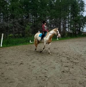 Meet your Posher, Amy